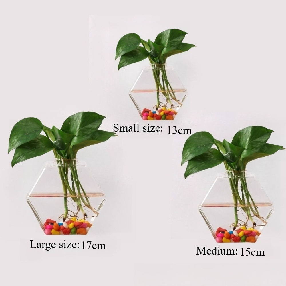 Creative Irregular Hanging Hyd - огляд і ціна Glass Vase Nordic